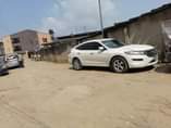 A picture of Honda crosstour 2010 model v6