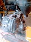 A picture of Keke for sale first body
