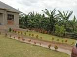 A picture of House seated on 100x100 feet at BUJUUKO 130m. Ready title