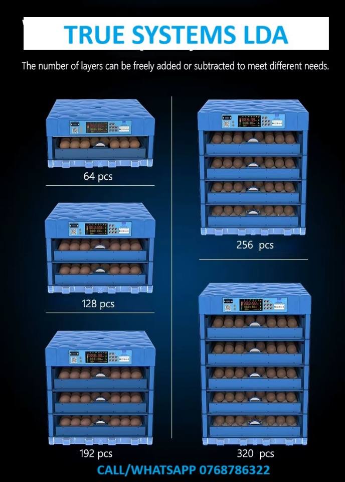 A picture of Ac Dc egg incubators
