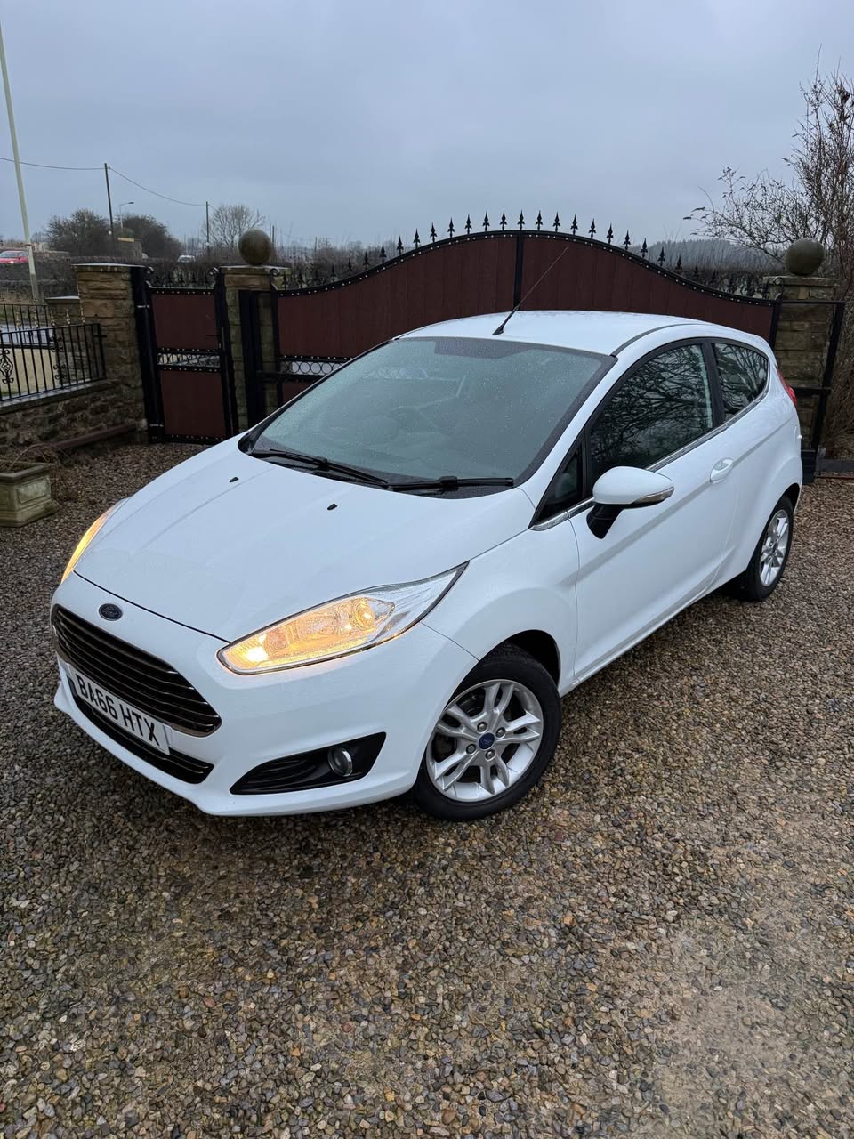 ford zetec