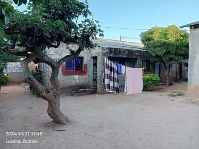kabanana