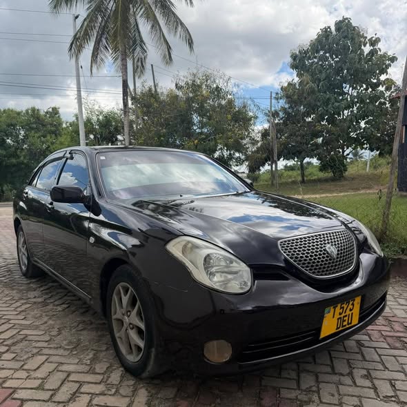 A picture of Car verosa