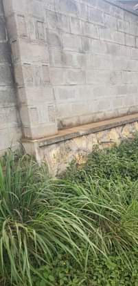 A picture of It s a plot on sale at 650m