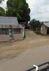 A picture of Boma