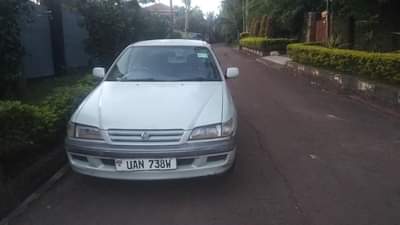 Lubega L.