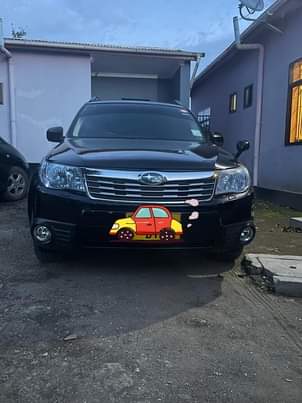 A picture of Subaru Forester