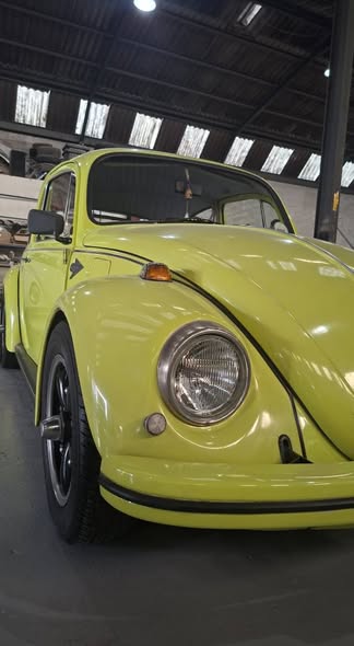 vw beetle