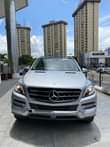 A picture of Benz 2016
