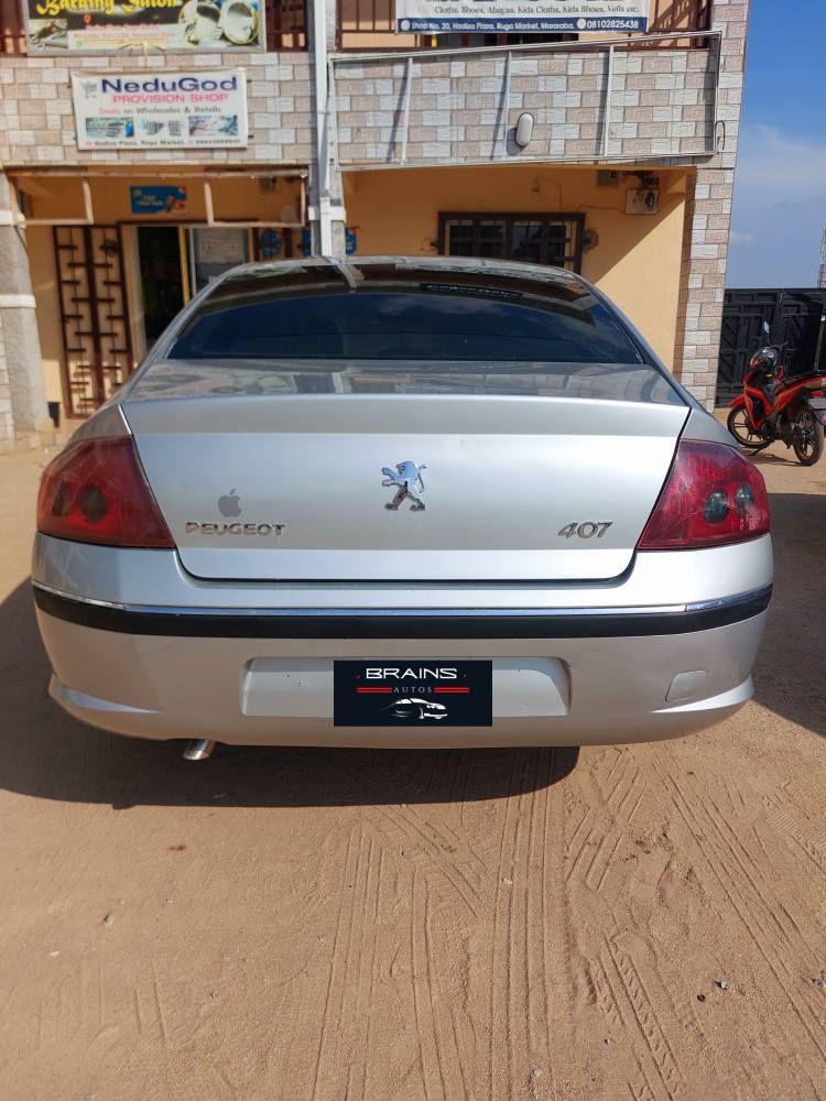 A picture of Peugeot 407 2008 model