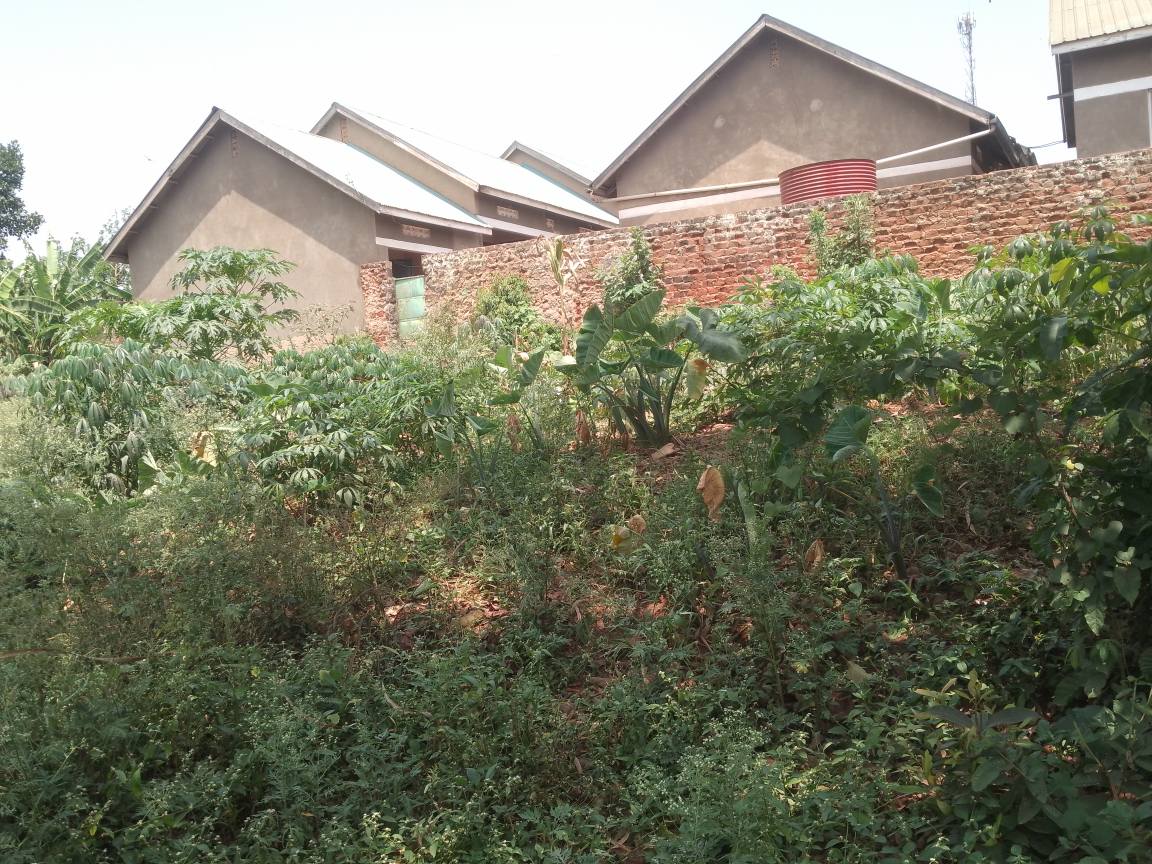 A picture of Plot kabaka land