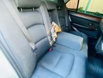 A picture of Toyota Brevis