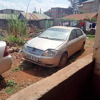 McSpeedo O.