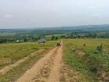 A picture of LAND