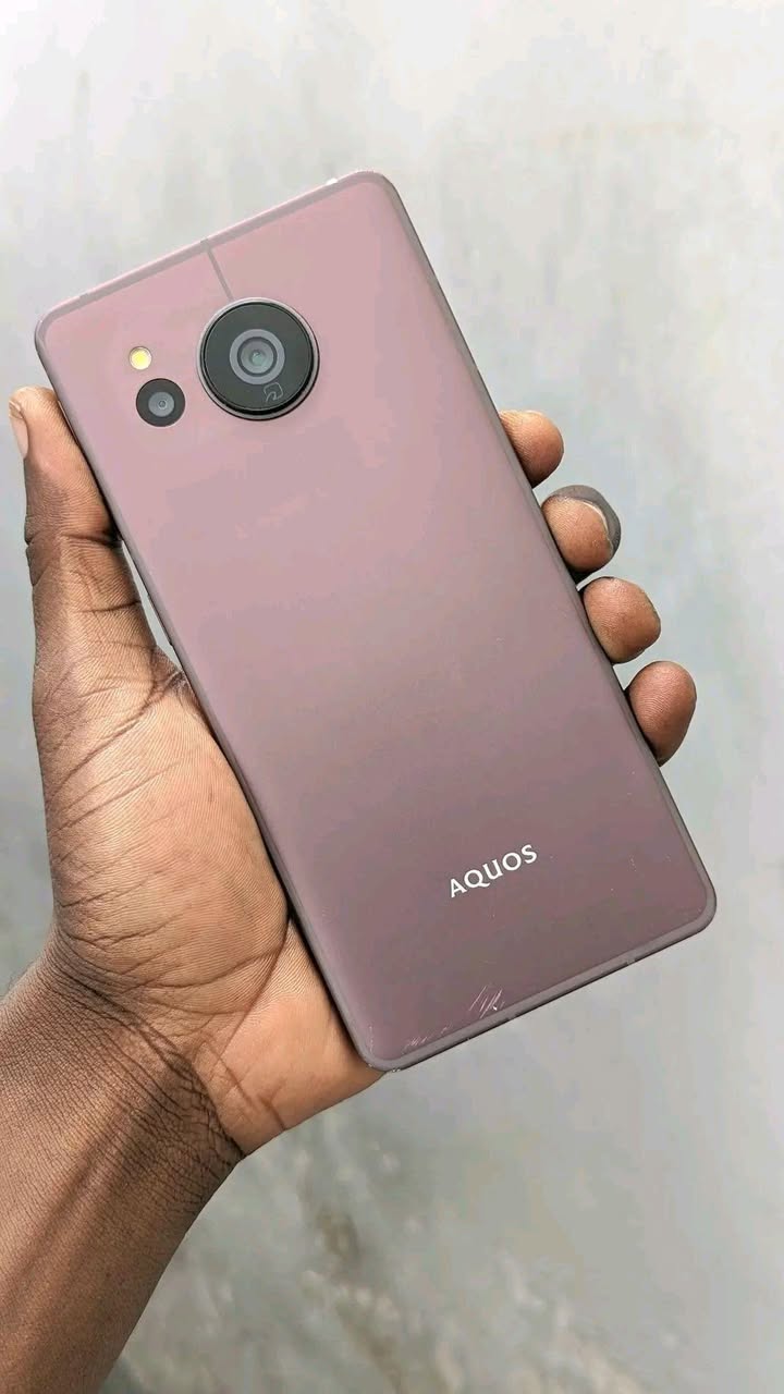 A picture of Aquos Sense 7 plus 5g