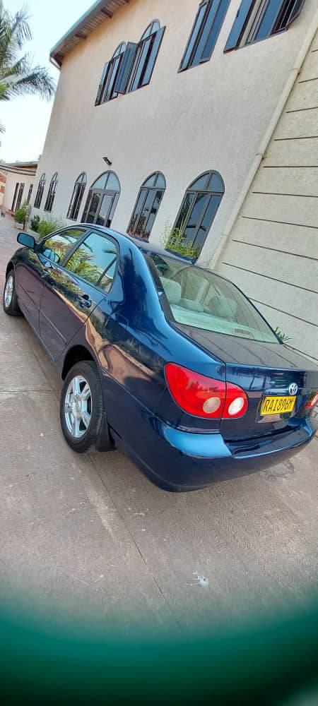 used toyota corolla
