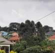 A picture of END of Year OFFER 60m only Titled Kasangati