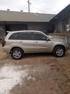 A picture of Rav4