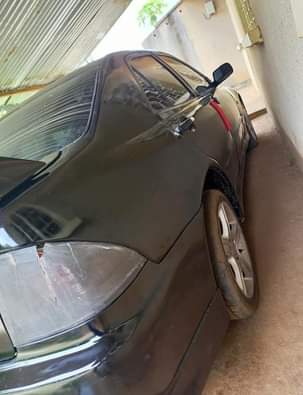 A picture of altezza