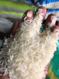 A picture of Tz Super Rice kawoowo Nicely Sorted Without Stones and With