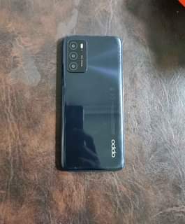 icasa approved