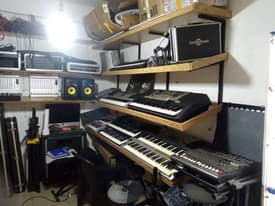 A picture of MUSICAL INSTRUMENTS 0708392737