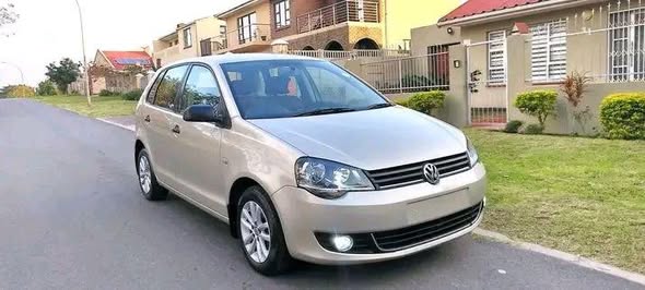 polo vivo