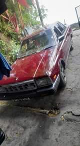 Randy B.