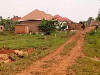 A picture of Land on sale
