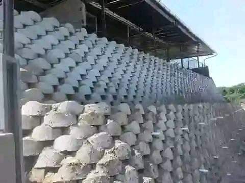 KZN C.