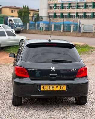 A picture of 2007 PEUGEOT 307
