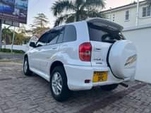 A picture of RAV4 KILL TIME