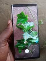 A picture of Samsung note 9 128gb