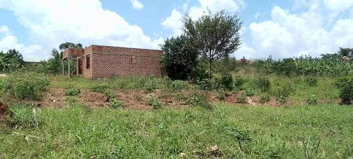 houses matugga