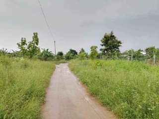 A picture of PAGALE JIPYA LINAUZWA BAOBAB KIMERE MAPINGA