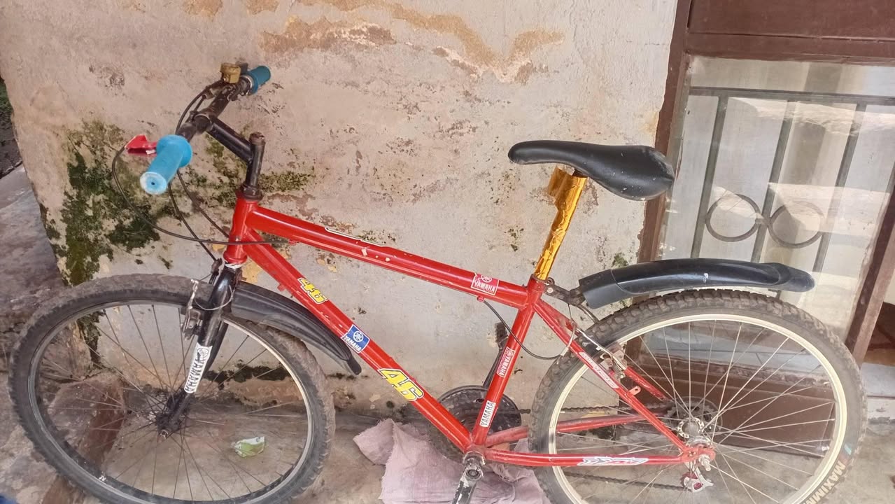 bicycle