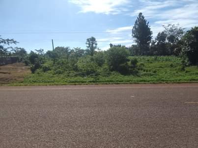 A picture of 100 by 100 ft tarmac prime plot for sale along
