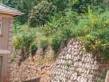 A picture of Makindye kizungu nice plot on quick sale
