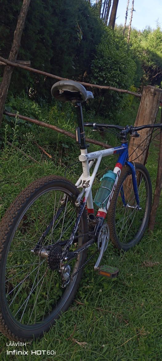 shimano