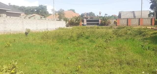 A picture of Plot for sale