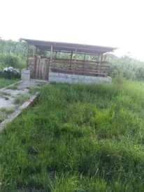 A picture of Nyumba.