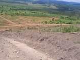 A picture of Affordable Plots at Kakiri Simbamanyo Estate 9m 12m