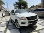 A picture of registered Mercedes ml350