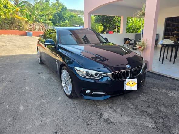bmw 420i