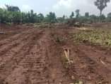 A picture of BRAND NEW SITE OPEN IN MATUGGA SANGA NAKUKUBA TOWN Suitable