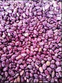 A picture of Whole sale produce