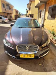jaguar