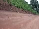 A picture of 4 fertile acres for sale all at 13m agreement sale