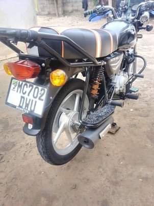 A picture of boxer hd 125