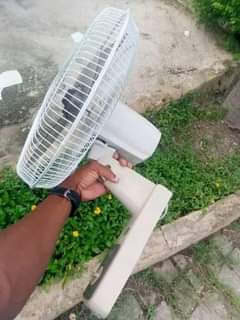 fans